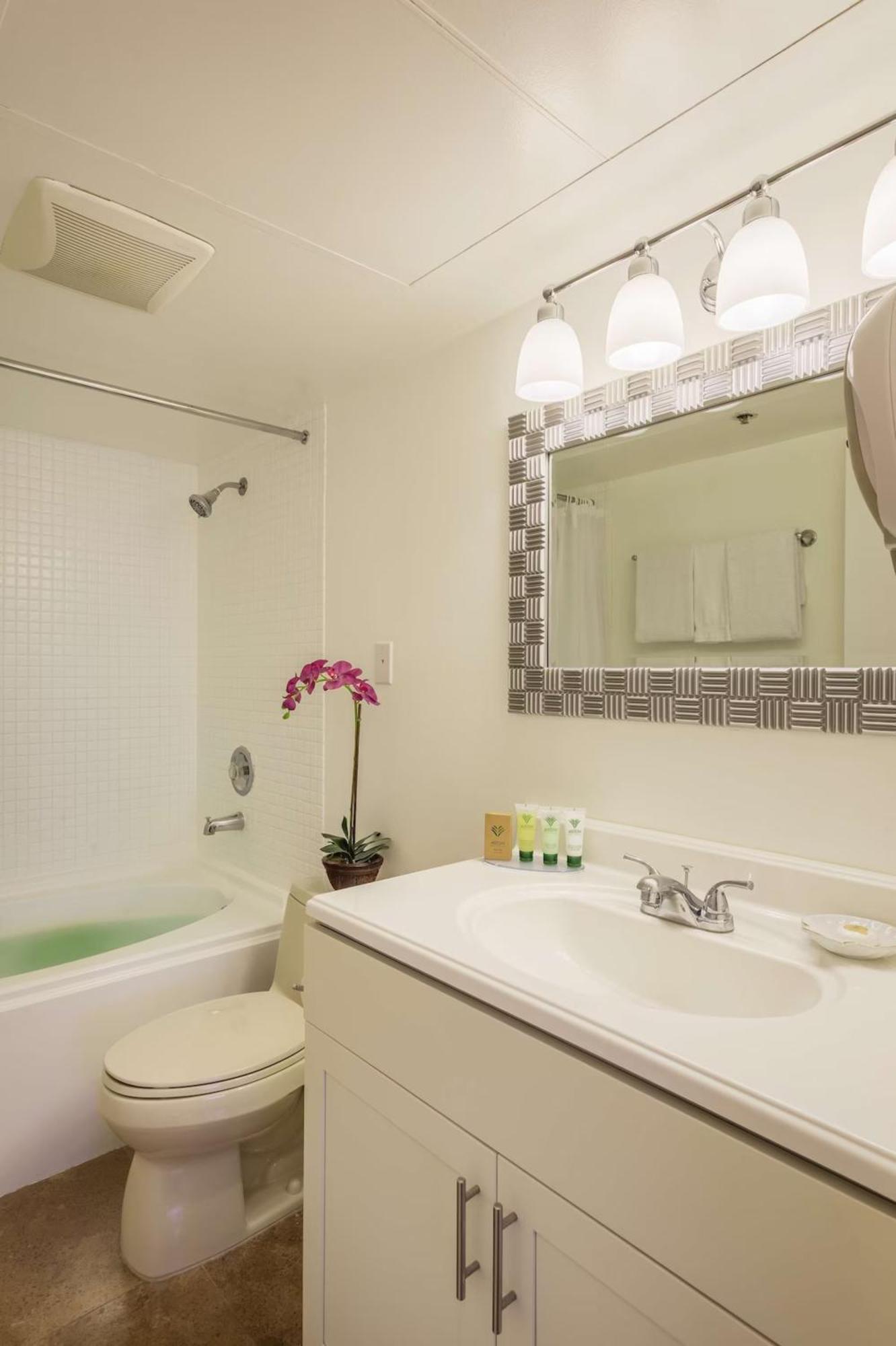 Suite with Mountain View